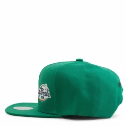 Celtics Dual Whammy Snapback