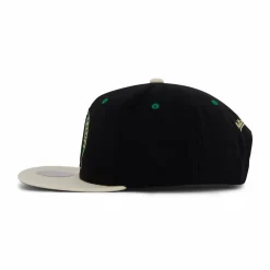 Celtics Pin Drop Snapback
