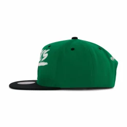 Celtics Transcript Snapback