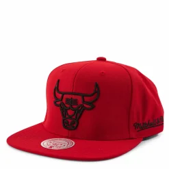 Christmas Day Snapback