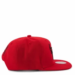 Christmas Day Snapback