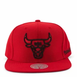 Christmas Day Snapback