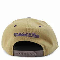 Classic Canvas Snapback