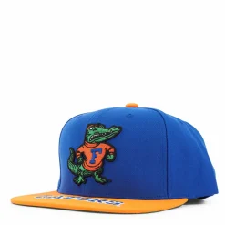 Gators Logo Bill Snapback