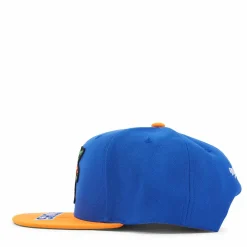 Gators Logo Bill Snapback