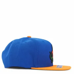 Gators Logo Bill Snapback