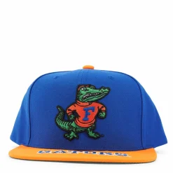 Gators Logo Bill Snapback