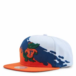Gators Paintbrush Snapback NCAA