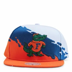 Gators Paintbrush Snapback NCAA