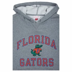Gators Short Sleeve Fleece Hoodie