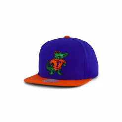 Gators Team 2 Tone 2.0 Snapback