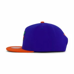 Gators Team 2 Tone 2.0 Snapback