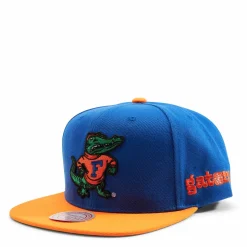 Gators Team Origins Snapback