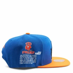 Gators Team Origins Snapback