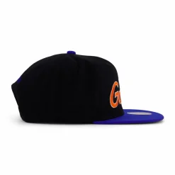 Gators Team Script 2.0 Snapback