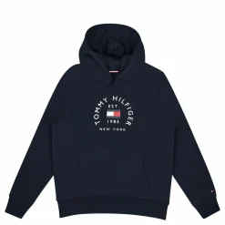 Hilfiger Flag Arch Hoody Dw5
