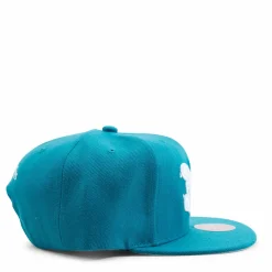 Hornets Color Popz Snapback