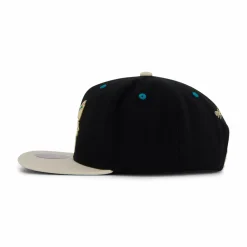 Hornets Pin Drop Snapback