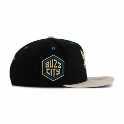 Hornets Pin Drop Snapback