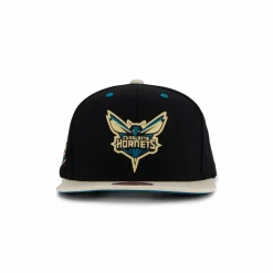 Hornets Pin Drop Snapback