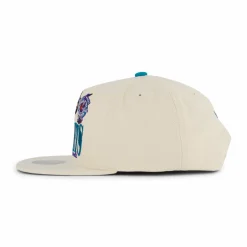 Hornets Reframe Retro Snapback HWC