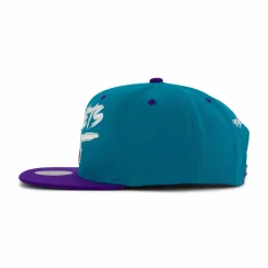 Hornets Transcript Snapback