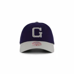 Hoyas Team 2 Tone 2.0 Dad Strapback