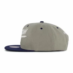Hoyas Transcript Snapback