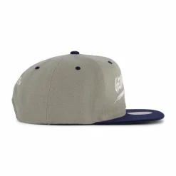 Hoyas Transcript Snapback
