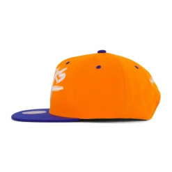 Knicks Transcript Snapback