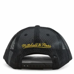 Lakers 2001 Championship Trucker