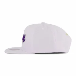 Lakers Winter Snapback