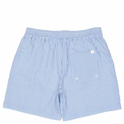 Lawson Stripe Shorts Summer Sky