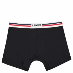 Levis Men Placed Sprtswr Logo 001