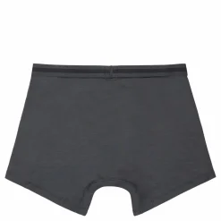 Levis Men Tencel Boxer Brief 2 005 Dark Shadow