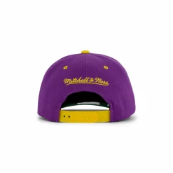 LSU GPA Snapback