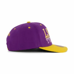 LSU GPA Snapback