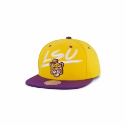 LSU Transcript Snapback