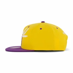 LSU Transcript Snapback