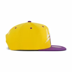 LSU Transcript Snapback