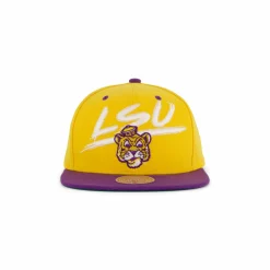 LSU Transcript Snapback