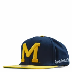Michigan Back In Action Snapback