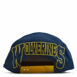Michigan Back In Action Snapback