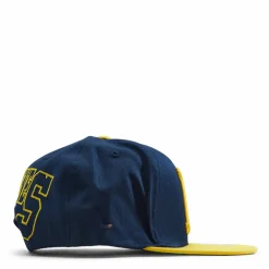 Michigan Back In Action Snapback