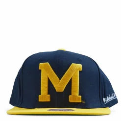 Michigan Back In Action Snapback