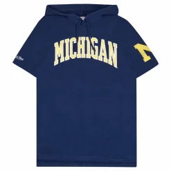 Michigan Gameday Ss Ft Hoodie