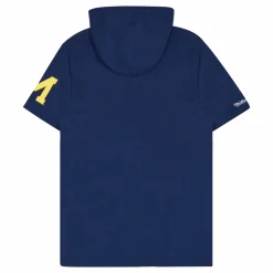 Michigan Gameday Ss Ft Hoodie