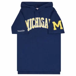 Michigan Gameday Ss Ft Hoodie