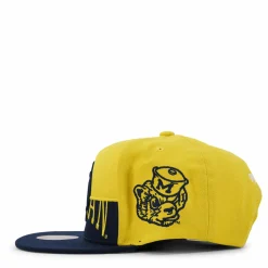 Michigan Half & Half Snapback