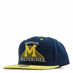 Michigan Monument Snapback